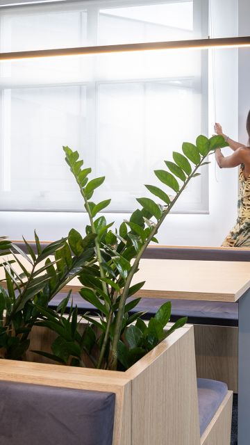 Ambiente valorizado pelo design funcional das cortinas rolô, unindo praticidade e sofisticação